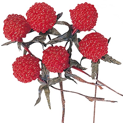 �������� ����� ��å�