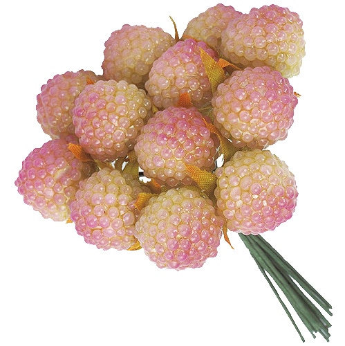 野イチゴ　ライムピンク　1袋12本入り　大地農園 0000000018402.jpg