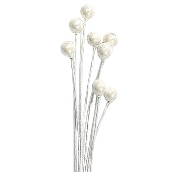 �������� �ѡ���ԥå����� ��