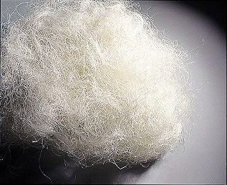 �������� �������� ��