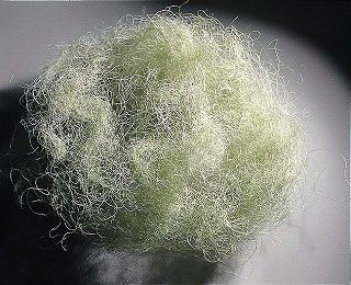 �������� �������� �ϡ��Х륰�꡼��