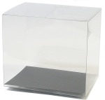 CL 860-001-000 clear case