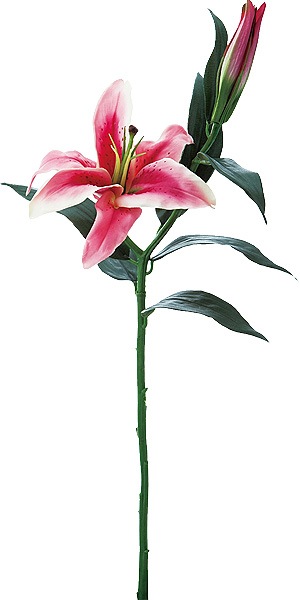 Po Art F ジョゼットカサブランカ アメリカンビューティー アーティフィシャルフラワー花材 フラワー 種類 属性 で選ぶ カサブランカ アニーズ