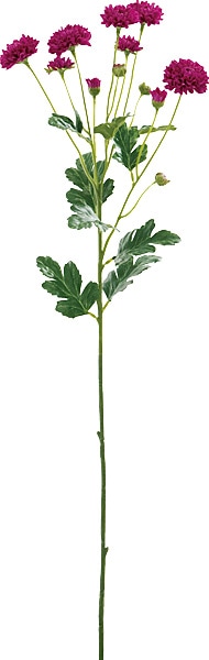 [PO Art��F] ���ץ졼�ޥ� ��٥����