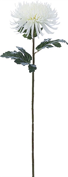 ��Outlet��PO �ص� �ۥ磻�� ��