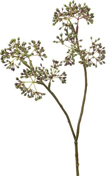 [PO Art��G] �����ߥ��ԥå� ���������꡼��