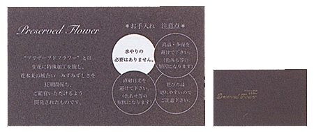 MK ���󥹥ȥ饯����󥫡��� IC-2 (50����)