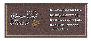 MK 󥹥ȥ饯󥷡 IS-2 (10x5)