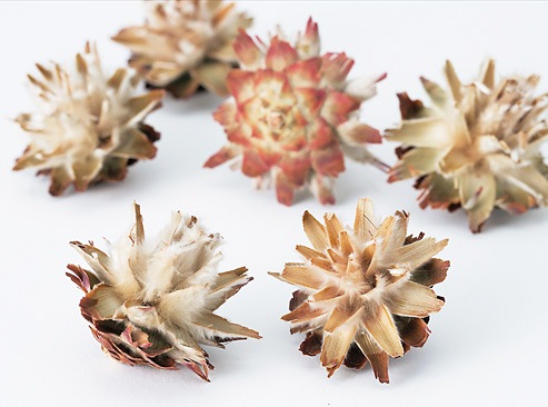 �������� �����������󎥥إå� N