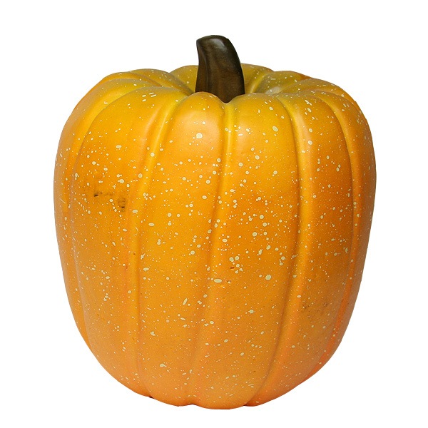 ��Outlet�� PO �ӥå��쥯���󥰥�ѥ�ץ���