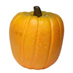 ��Outlet�� PO �ӥå��쥯���󥰥�ѥ�ץ���