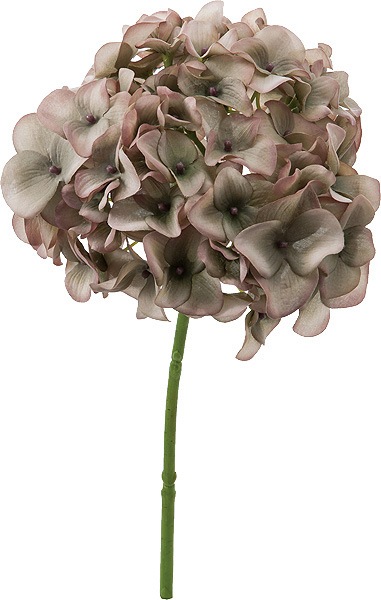 [PO ArtF] ǥϥɥ󥸥 MAG