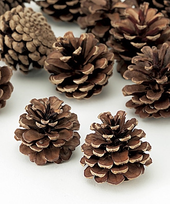 �������� ���������� ��