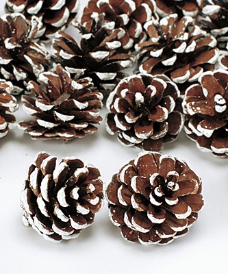 �������� ���������� ���Ρ�