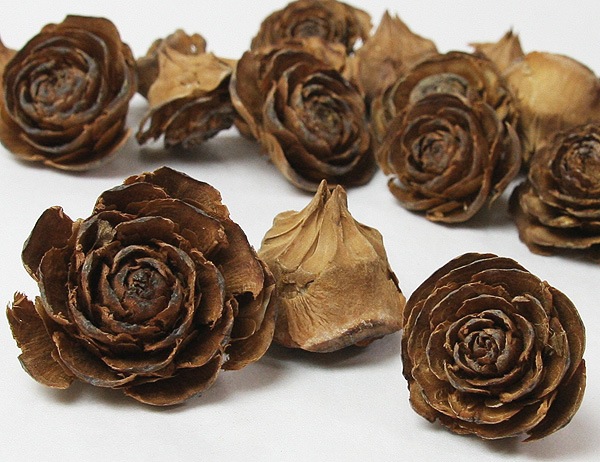 �������� �������������إå� N