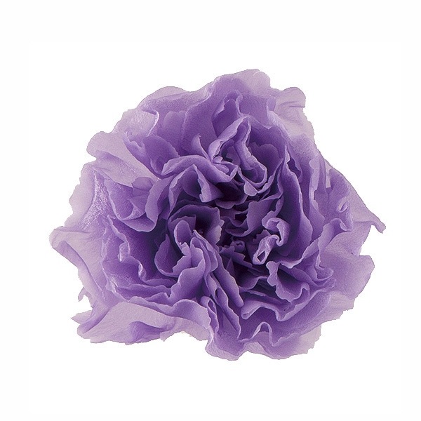 �������� �ߥ˥����͡������(9) ��٥����