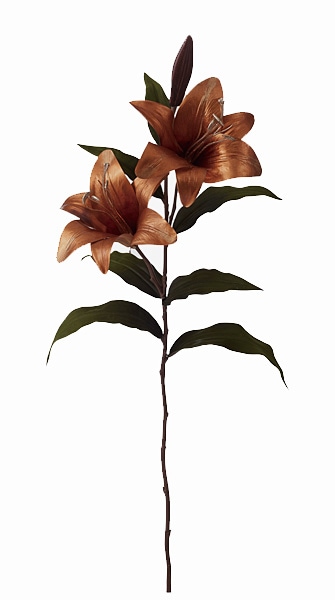 ��Outlet��PO �ۥ������꡼���ץ졼 GO ��