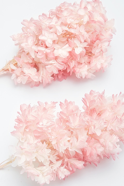 �������� ������Х����������إå� �ۥ磻�ȥԥ�