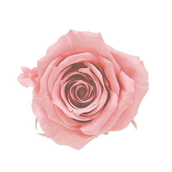 �������� ��������������(9) �Х˥�ԥ�