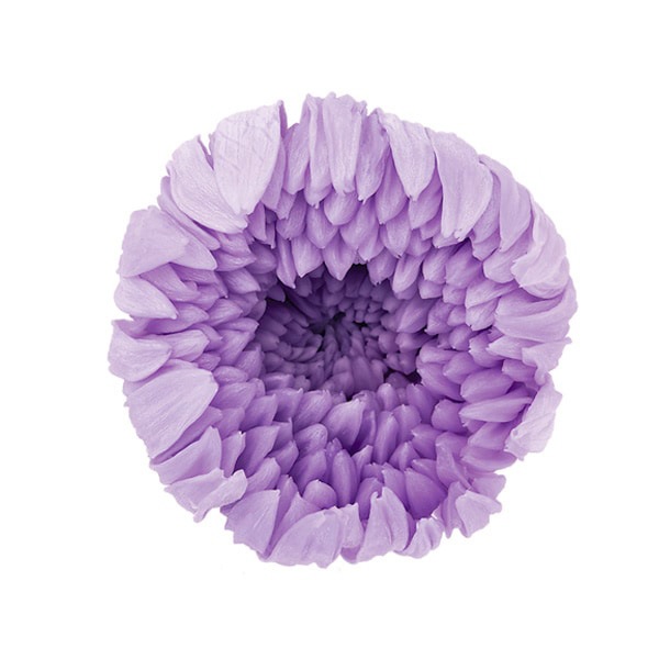 �������� �صƎ���(6) ���������ȥ饤��å�