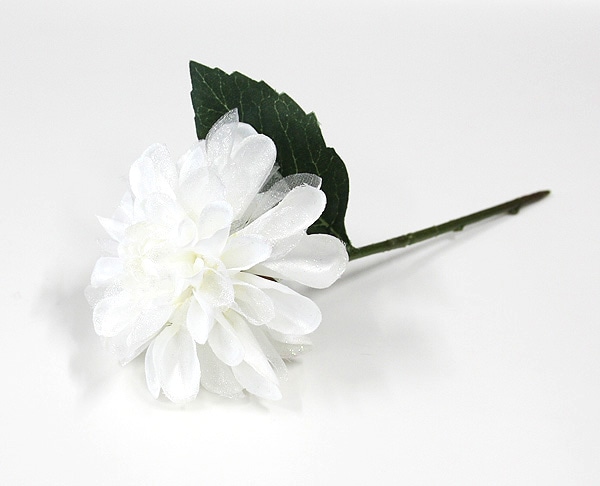 ��Outlet��PO �ե��ߥ˥���ꥢ W