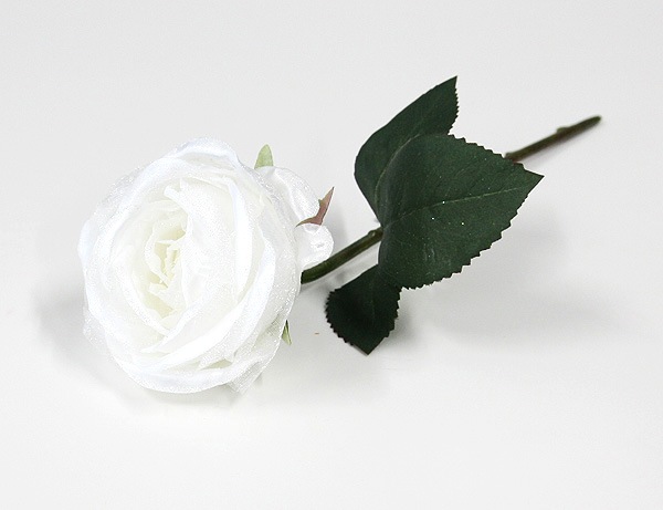 OutletPO եߥ˥󥪡ɥ W