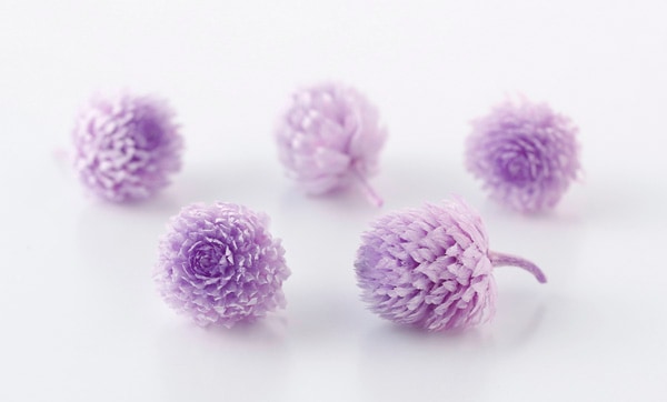 �������� �����Ȏ��ץꥶ���֥ɡ��إå� ���������ȥ饤��å�