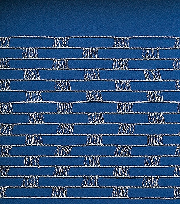 TR �ͥåȥ磻�䡼�ޥ��å� 150X5M [002]