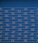 TR ͥåȥ磻䡼ޥå 150X5M [002]