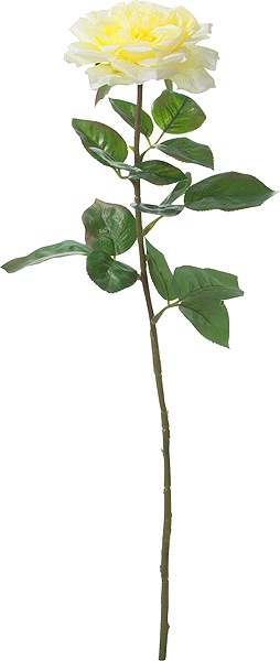 ��Outlet��[PO Art��F] �������ߥ��� Y