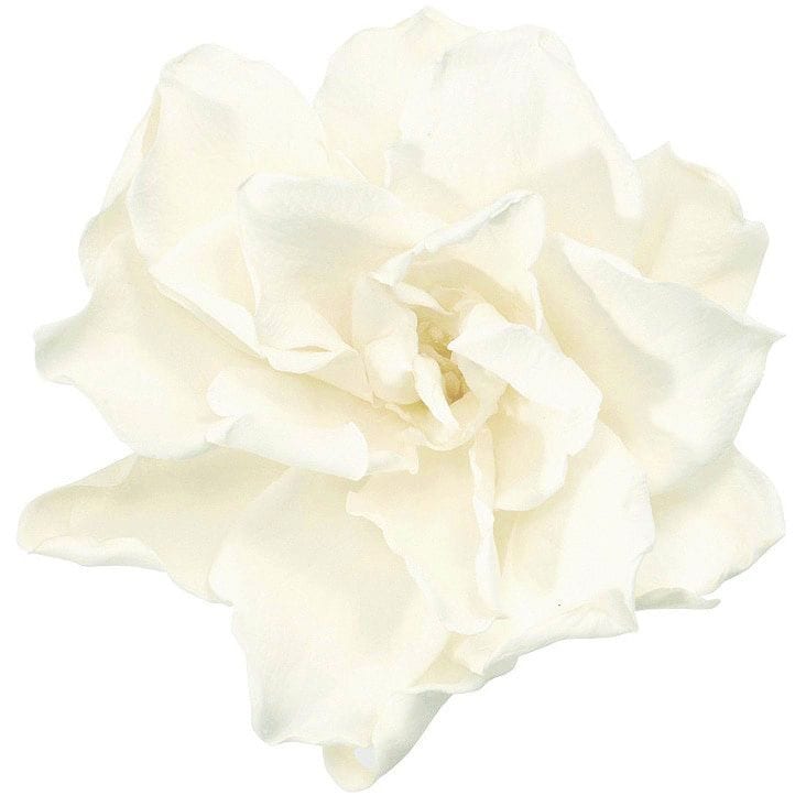 �������� �����ʥ������6�� ��