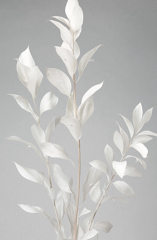 �������� �륹���������ǥ� ���եۥ磻��