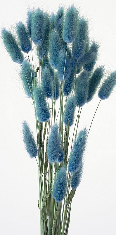 ��������. �饰�饹 ��������������