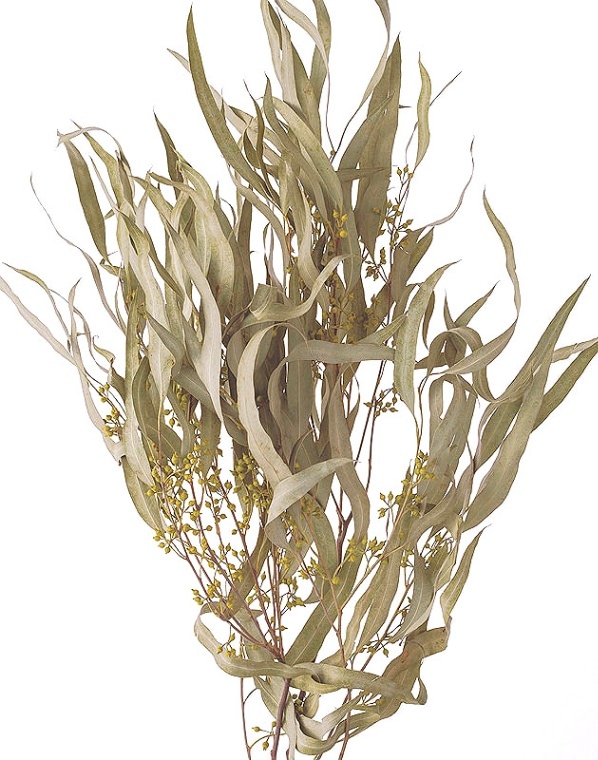 �������� �桼���ꡦ���������������� N