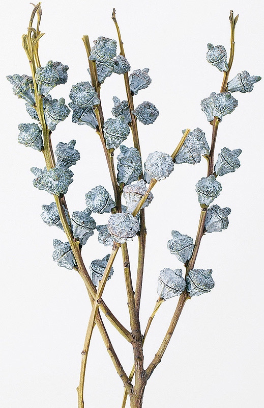 �������� �桼���ꡦ�����ܥ饹 N