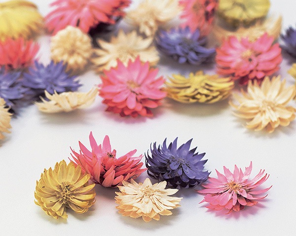 �������� ��������ե� �ԥ󥯥ߥå���