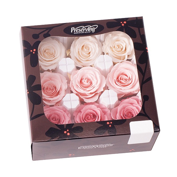  ΤM顼(9) ۥ磻ȡԥ󥯥ߥå