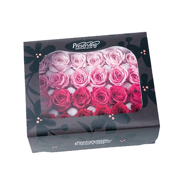 �������� ���������ӥӥ��󡦥��顼��������(4x6) �ԥ󥯥ߥå���