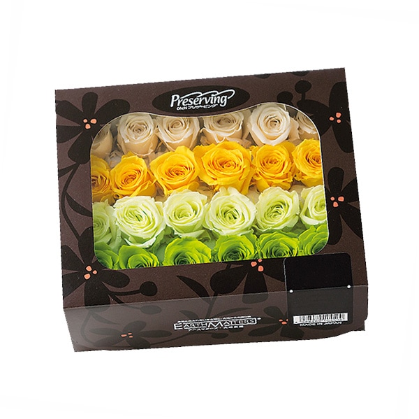 �������� ���������ӥӥ��󡦥��顼��������(4x6) ���꡼��ߥå���