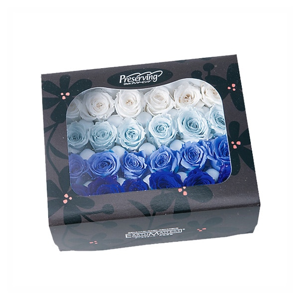 �������� ���������ӥӥ��󡦥��顼��������(4x6) �֥롼�ߥå���