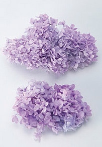 �������� �ԥ�ߥåɥ����������إå�(����ǡ�����󥫥顼) ���ߤ�ѡ��ץ�