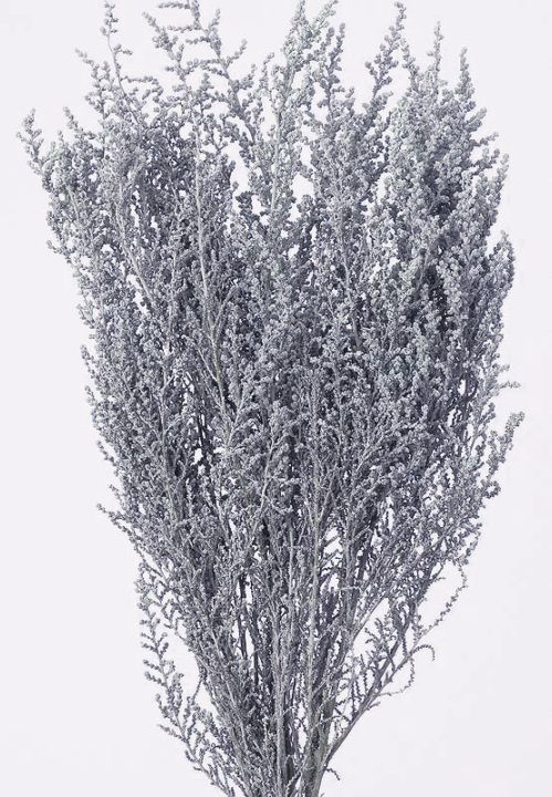 �������� ���ȡ��� �����å����٥����