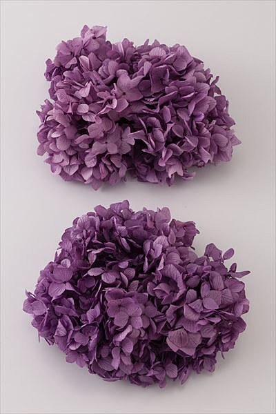 大地農園 ゆめアジサイ・ヘッド パープル | プリザーブドフラワー花材 