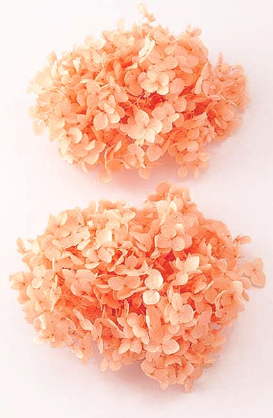 �������� ���ʥ٥뎥�إå� ����ꥢ�����