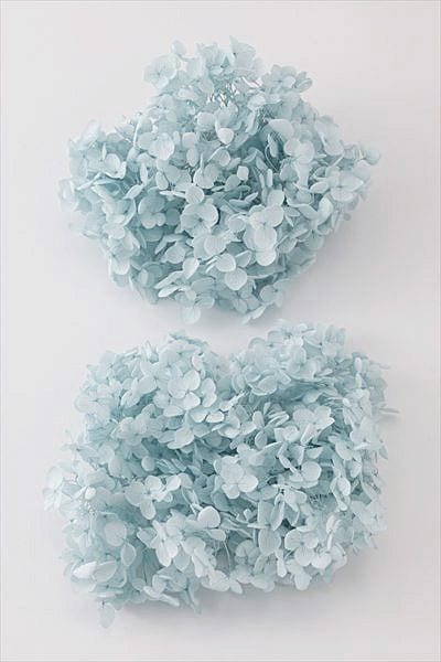 �������� ���ʥ٥뎥�إå� �٥ӡ��֥롼