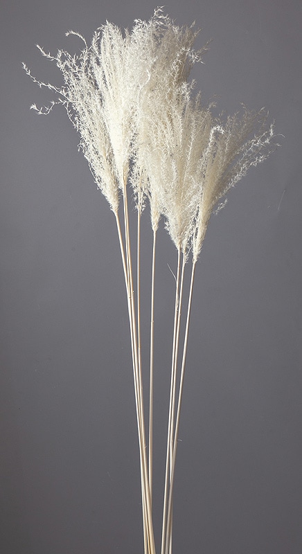 �������� ������ ��