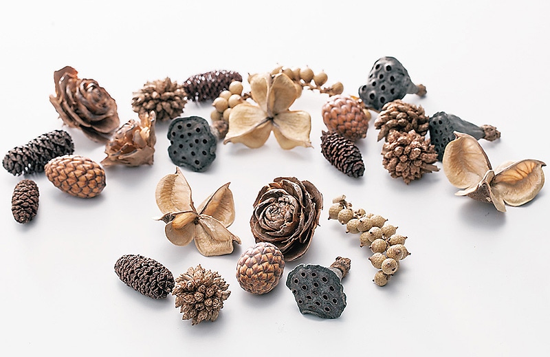 ��������. �ߥå��������� N