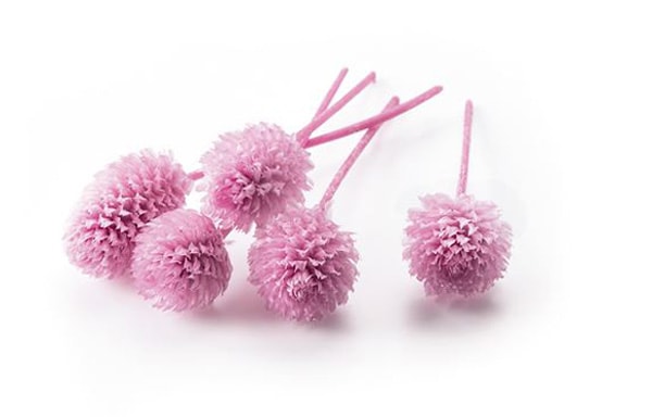 �������� �����Ȏ��ץꥶ���֥ɡ��إå� ���ꥹ����ԥ�