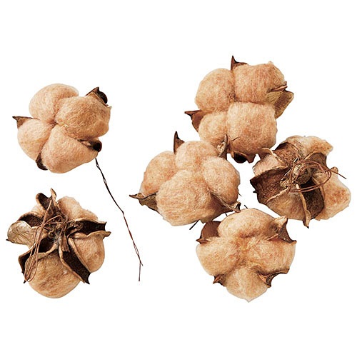 MK ���åȥ�ѡ��� �饤�ȥ֥饦��(6��)