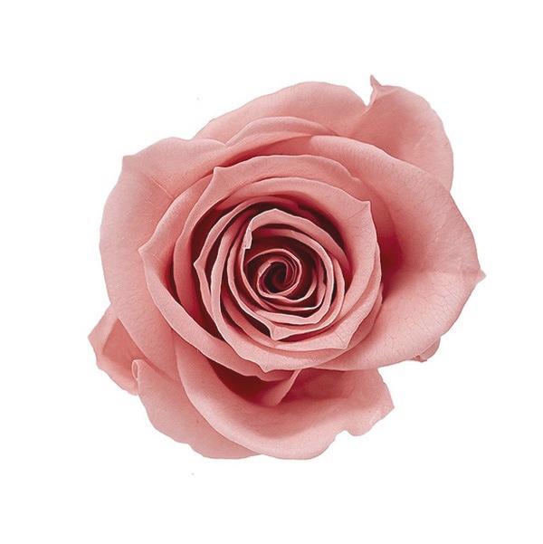 �������� ��������������(9) �ܥ�ܥ�ԥ�